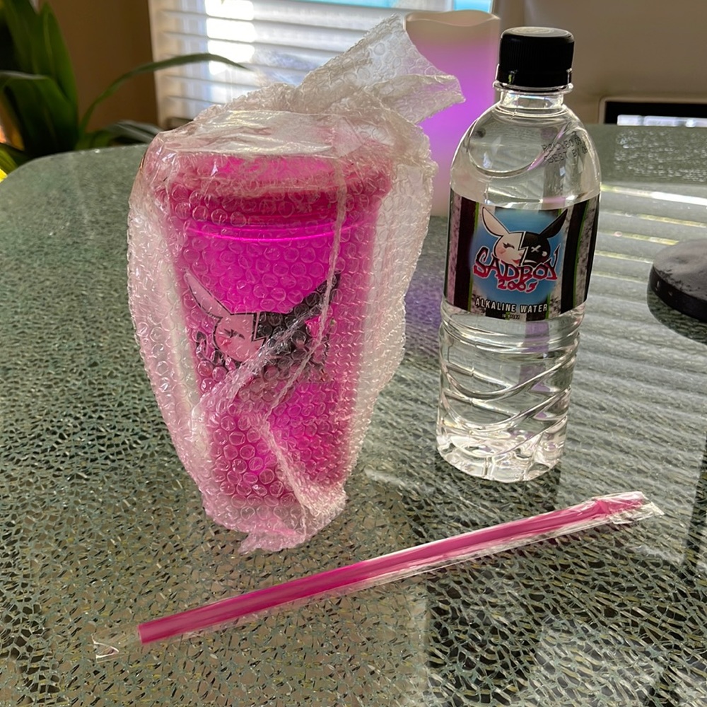Trisha’s SADBOY2005 16oz. Tumbler/Straw/Water Bottle NWT - Picture 2 of 5